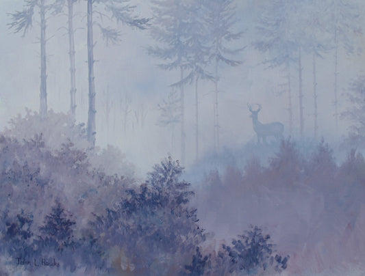 Deer in the morning mist