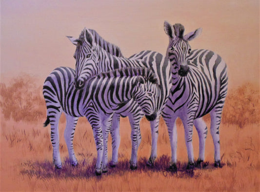 Zebra Colours